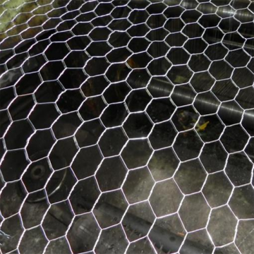 Chicken Coop Galvanized Wire Mesh