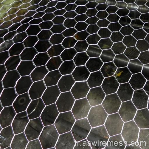 Netting de fil hexagonal promotionnel professionnel