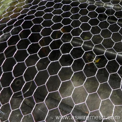 Chicken Coop Galvanized Wire Mesh