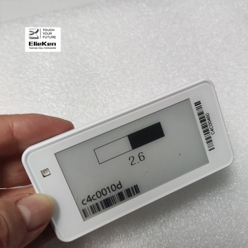 Display e-ink e carta per il prezzo digitale