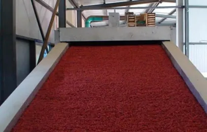 Candied fruit dryer equipment