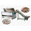 Industriell Cassava Sweet Potatis Tvätt Peeling Machine