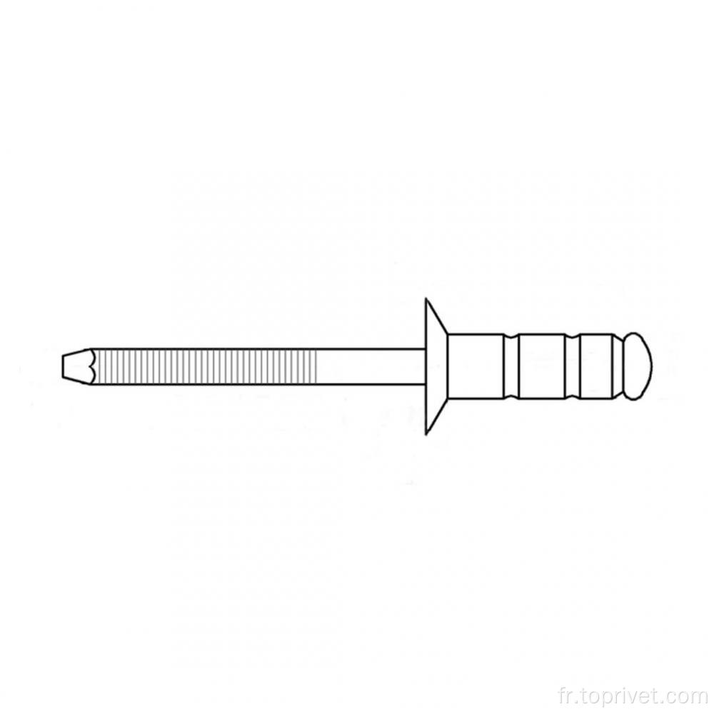 Rivet aveugle multigroup contre-jacent en acier inoxydable