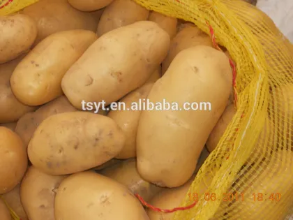 Fresh Potato From 2015 Autumn Crop