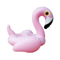 Flamingo napuhavanje pića drži