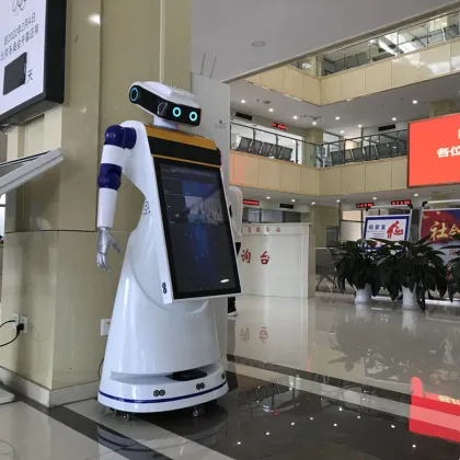 Intelligent Interactive Robot for Bank and Shopping Mall Consulting