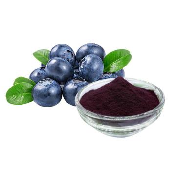 Blueberry Anthocyanins powder sell