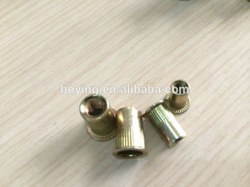Grade 4.8 Rivet nuts