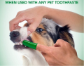 Berus gigi yang terbaik untuk anjing