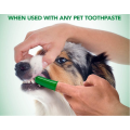 Meilleure brosse à dents pour les chiens