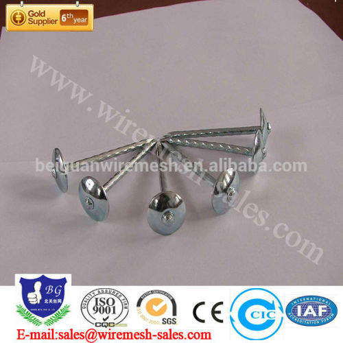 BWG9*2.5" Electro Galvanized Roofing nails with Umbrella Head US $640-1000 / Ton
