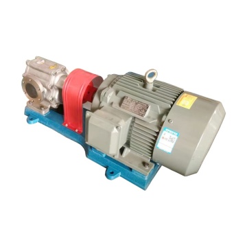 OEM Customizable Electric Stainless Steel Gear Pump for Low Pressure and Vacuum Usage