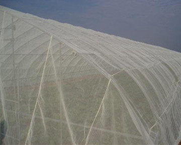 Insect Netting