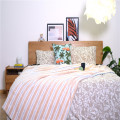 Striped Double-sided Fleece Printing Flannel Coral Blanket
