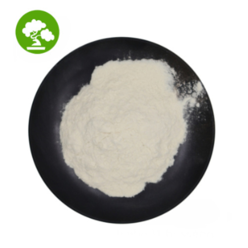 Nano Hydroxyapatite Powder pour le dentifrice