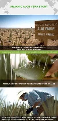 Dr. Rachel Aloe Vera Soothing & Moisture Sun Protection Cream