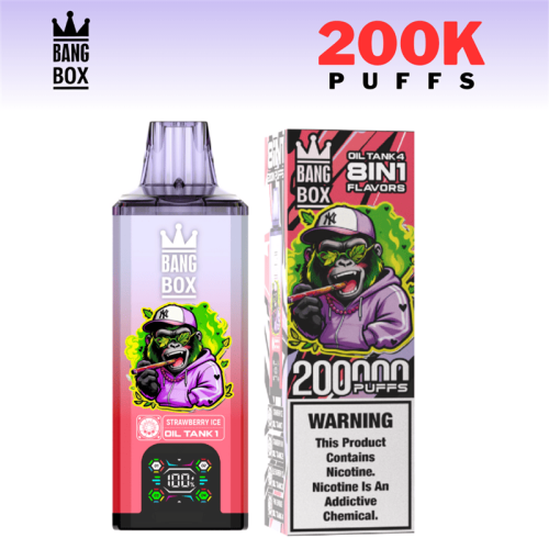BangBox 200000 Puff Disposable Vape Pen Bulk Buy
