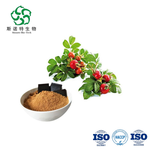 Pure Natural Rosa Canina Extract Powder Water Soluble