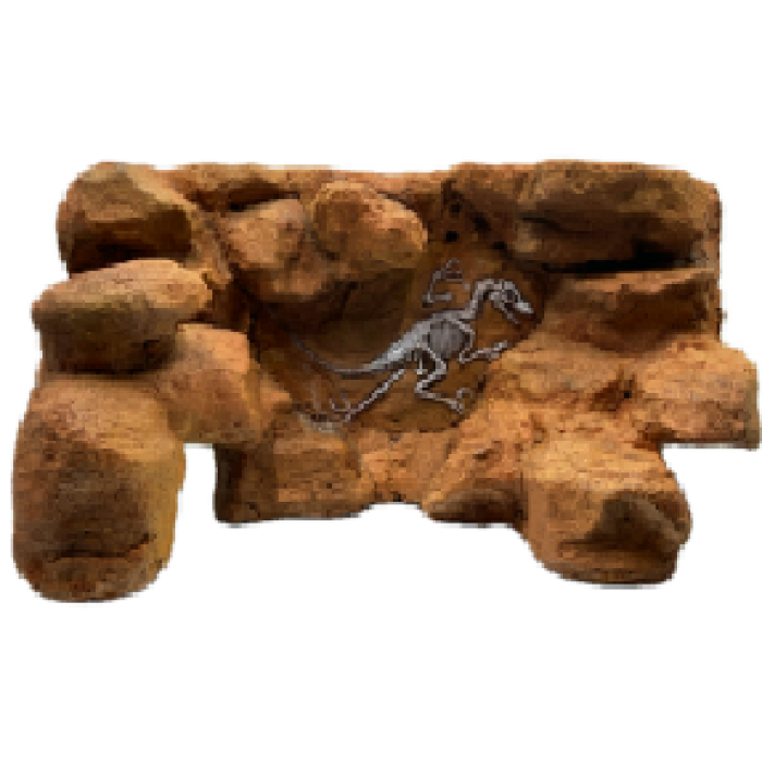 Simulação Dinosaur Fossil Background Board for Terrariums
