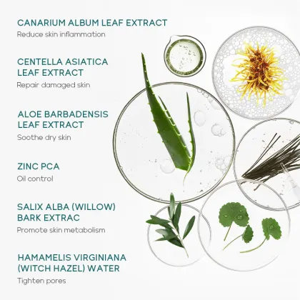 OEM Tea Tree Extract Organic Skin Care Set: Soothing, Pore Shrinking, Hydrating & Repairing