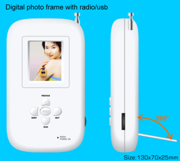 Novelty Digital photo frame with radio