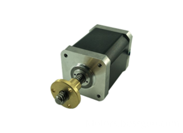 Gear Motor 100 RPM