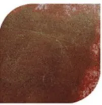 edible luster dust