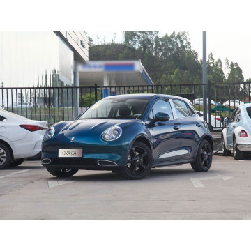 New energy small electric vehicle ora cat