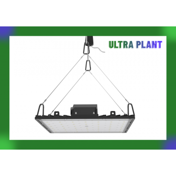 Luces de cultivo de espectro completo para hortalizas