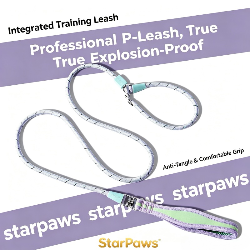 Heavy Duty Slip Lead Training Leash for Dogs