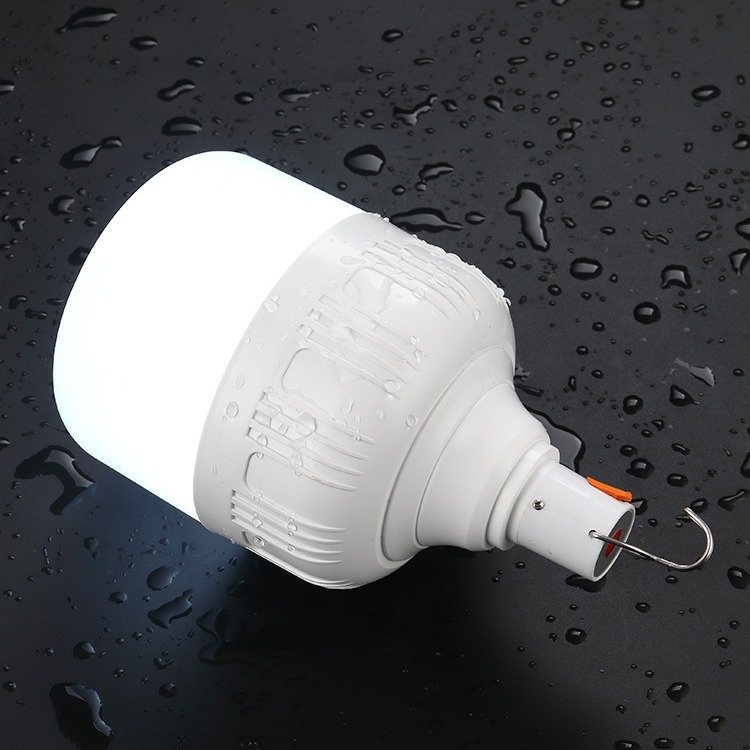 Emergency Bulb_4