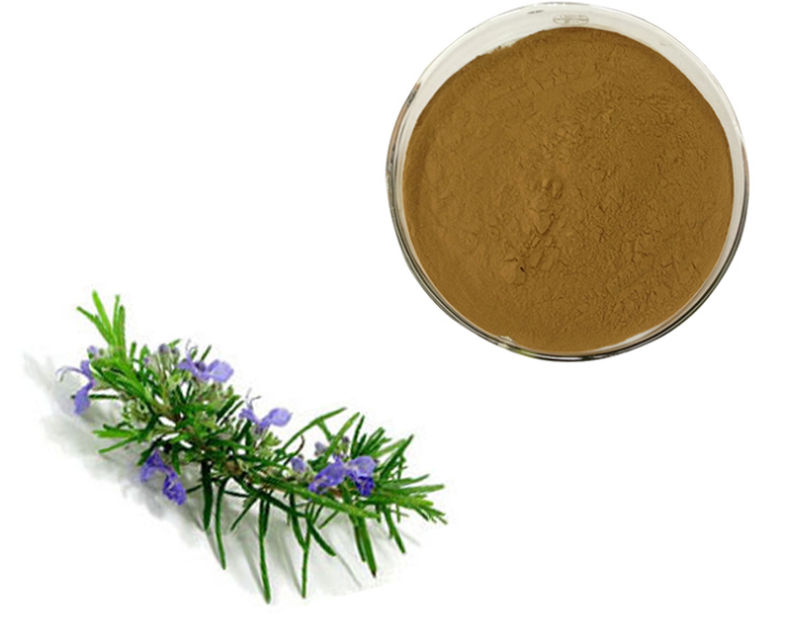 Rosemary Herb Extract Powder 3% Rosmarinic Acid 98%