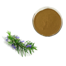 Rosemary Herb Extract Powder 3% Rosmarinic Acid 98%