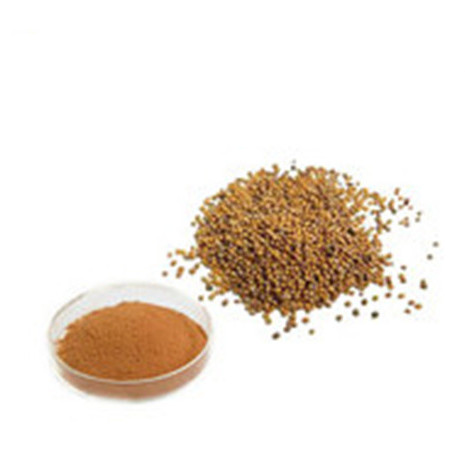 Health Food Mustard Seed Extract