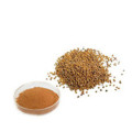Health Food Mustard Seed Extract
