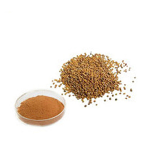 Health Food Mustard Seed Extract