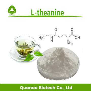 L-theanine 99% Powder Cas No. 3081-61-6