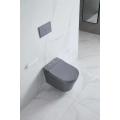 wall hung smart intelligent toilet