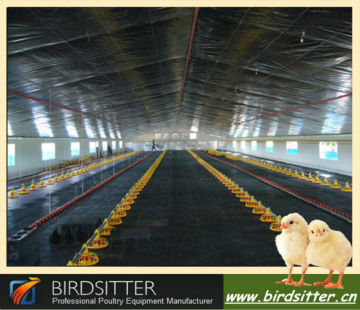 BIRDSITTER steel structure poultry farming house design chicken
