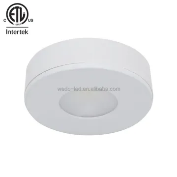 Tunable 3W Dimmable LED Spotlight - ETL 12V/24V 3CCT Surface Mounted Downlight