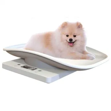 Electronic Cattle Weighing Scale - Animal Scale 10kg