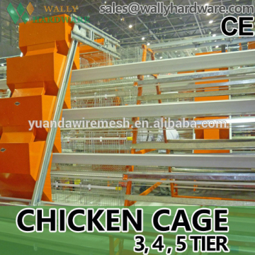 Cages Laying Hens