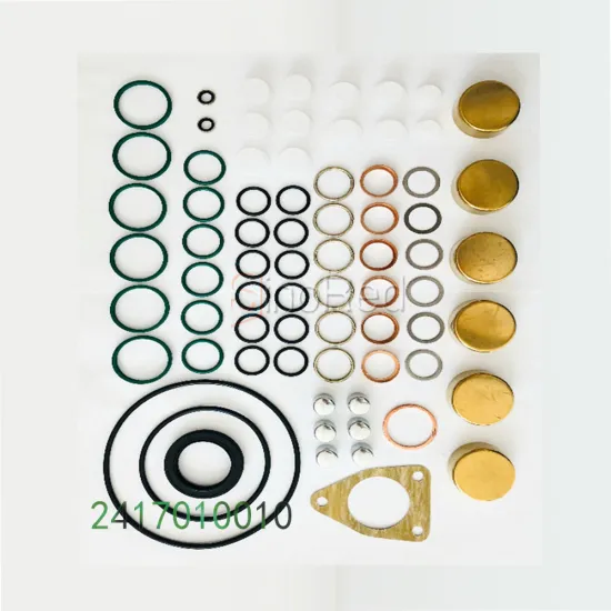 High-Quality Fuel Pump Repair Kit for Diesel Overhaul and Gasket Replacement: 2417010010 & 800019