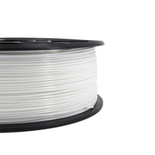 PA6 Nylon 3D Printing Filament 1.75mm