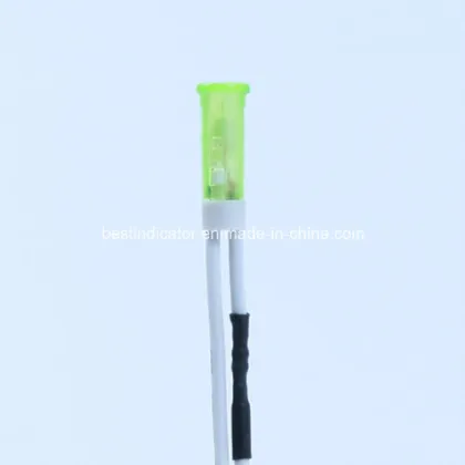 6mm Indicator Light/Neon Indicator /Indicator Lamp