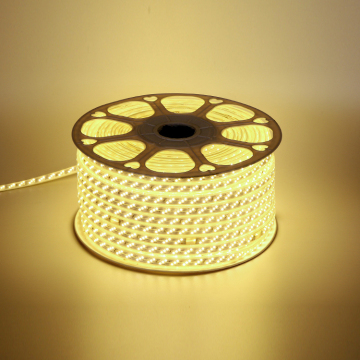 Outdoor IP65 Waterproof DC 12V/24V SMD2835 LED Strip Light - Most Popular Product