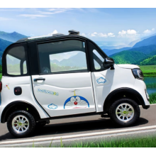 Electric leisure transportation vehicle