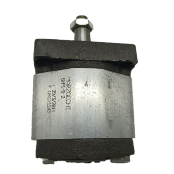 MARZOCCHI ALM2 Series Hydraulic Gear Pump and Motor Replacement