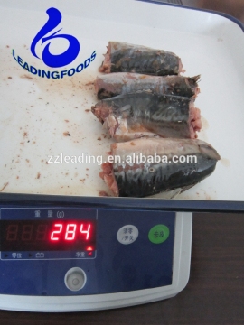 Canned Fish Product Best Price Canned Jack Mackerel in Water and Salt Added