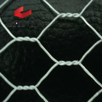 Reverse Twist Hexagonal Wire Mesh 10mm